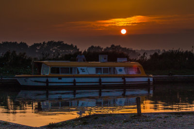 River Ant Sunset