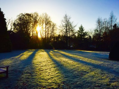 Frosty Morning