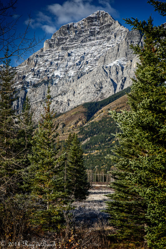 20141001-WE1A0321-1.jpg
