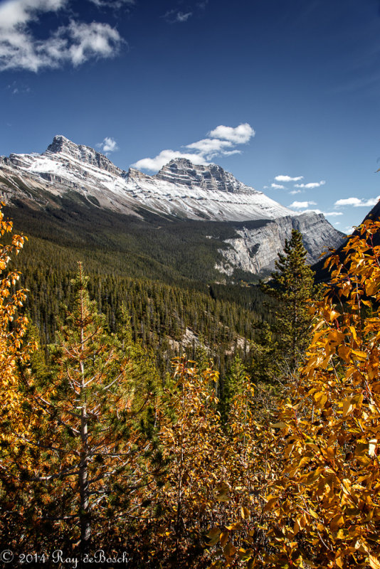 20141002-WE1A0818-2.jpg
