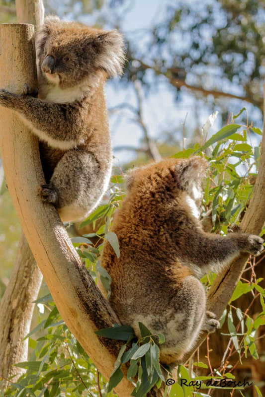 IMG_1419-Edit.jpg