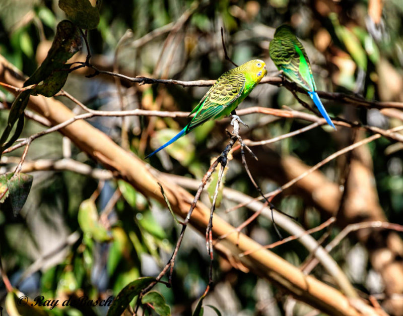 IMG_1507-Edit.jpg