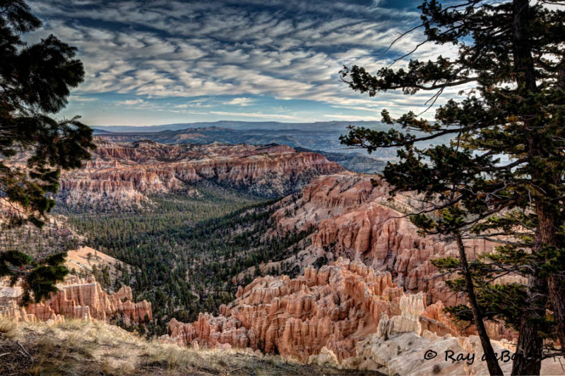Bryce NP