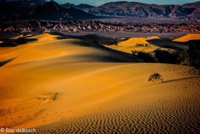 Death_Valley-0983.jpg
