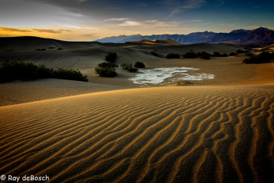 Death_Valley-0990.jpg