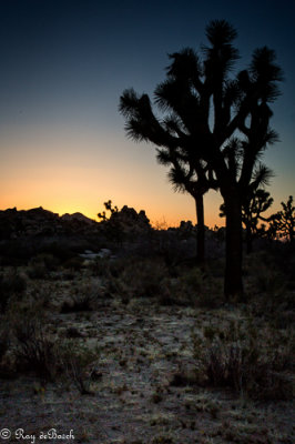 Death_Valley-9484.jpg