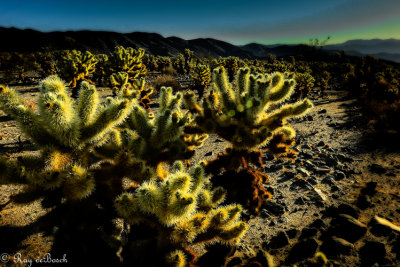 Death_Valley-9582.jpg