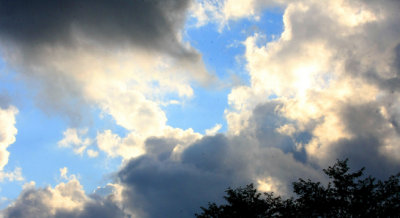 IMG_7873RS.JPG