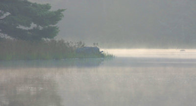 IMG_8232RS.JPG