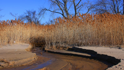 IMG_1205RS.jpg