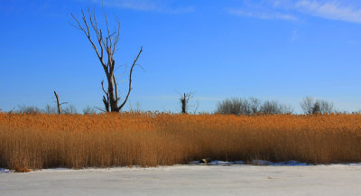 Gateway NRA, Floyd Bennett Field, Brooklyn, NY plus HARP Hanger & Dead Horse Bay