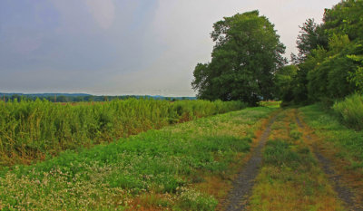 Wallkill NWR, NY & NJ