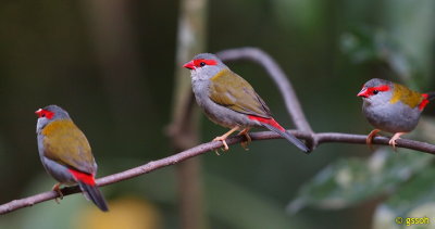 121207-KFP-221a.jpg