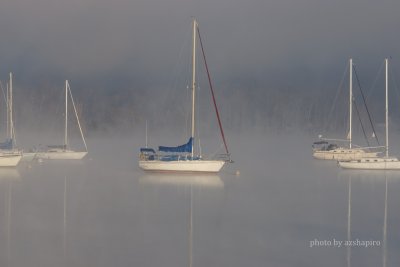 Foggy morning