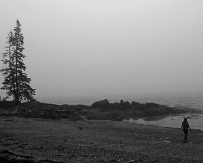 At the Town Beach