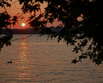 Sunrise at the Potomac