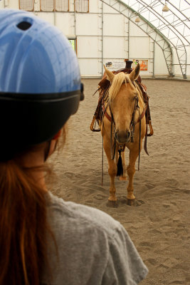 Celia sizing up her horse