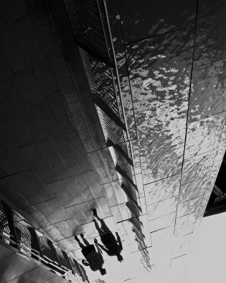 Reflected people