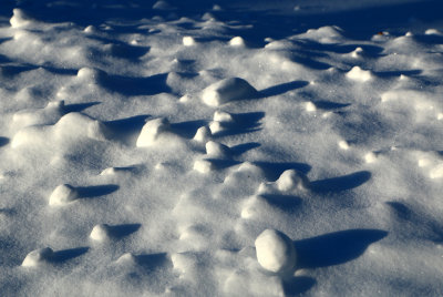 Snowscape