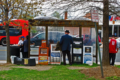 Bus stop in Annandale