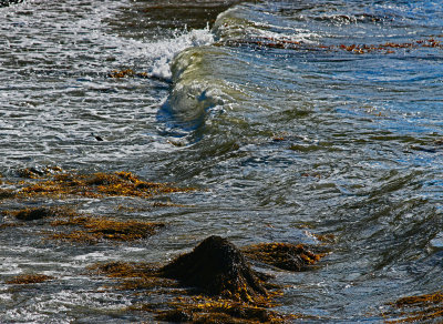 Water at bay