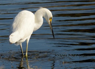 DSC_3747.JPG