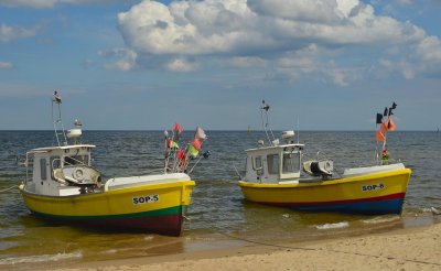 DSC_5827.JPG