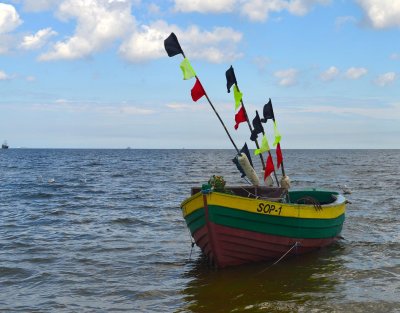 DSC_5819.JPG