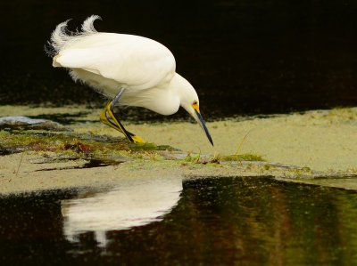 DSC_4665.JPG