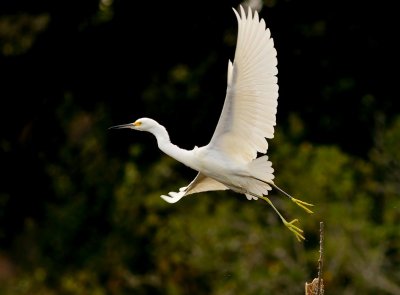 DSC_7616.JPG