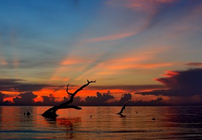 Sunrise on Big Talbot island