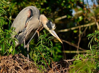 DSC_9159.JPG