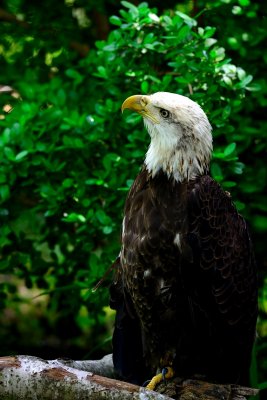 DSC_0794.JPG