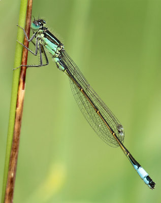 g9/21/987221/3/150736661.1EPa3Lkf.jpg