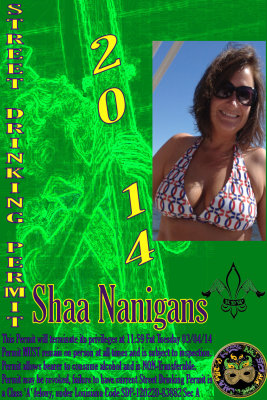 Shaananigans.jpg