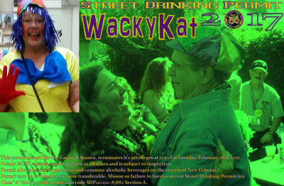 wackykat.jpg