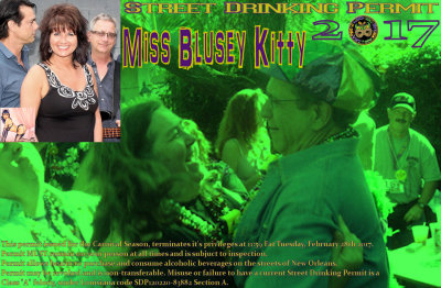 MissBluesKitty.jpg