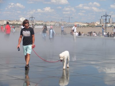 Miroir d'eau