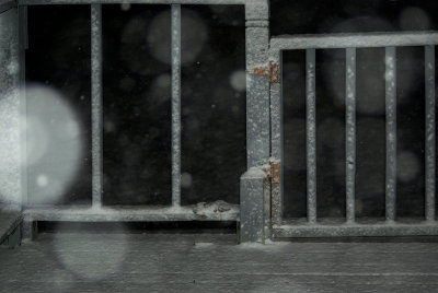 Snow at Night