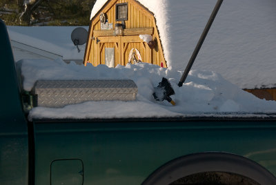 Digging Out