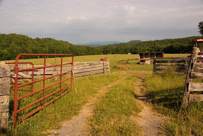 Farm Lane
