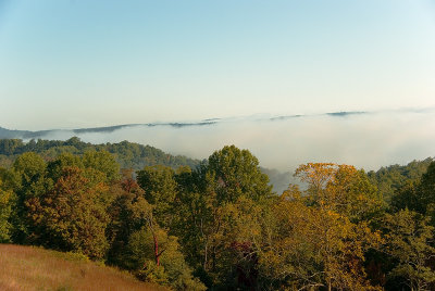 Foggy Morning