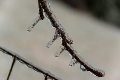 Winter's Cloak