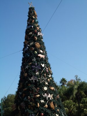 Disney World