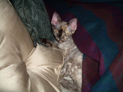 IMGP0303_s.jpg