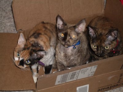 IMGP1112_s.jpg
