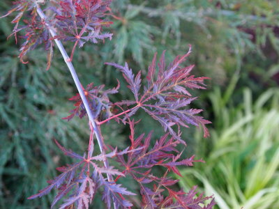 P9130007_s.jpg