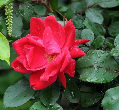 DSC_1407web.jpg