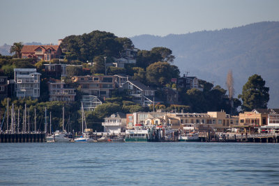 C3695 Tiburon