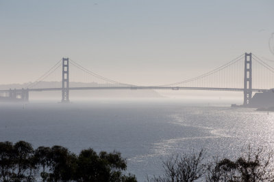 C3720 Golden Gate